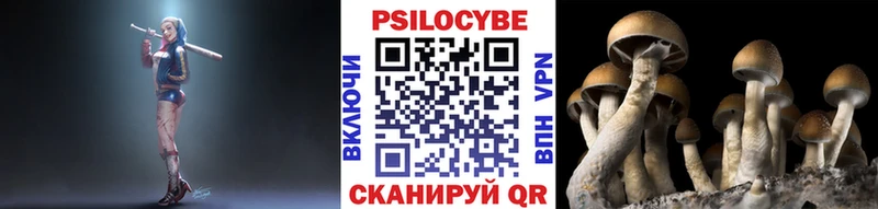 нарко площадка какой сайт  Шимановск  Псилоцибиновые грибы Magic Shrooms  сколько стоит 
